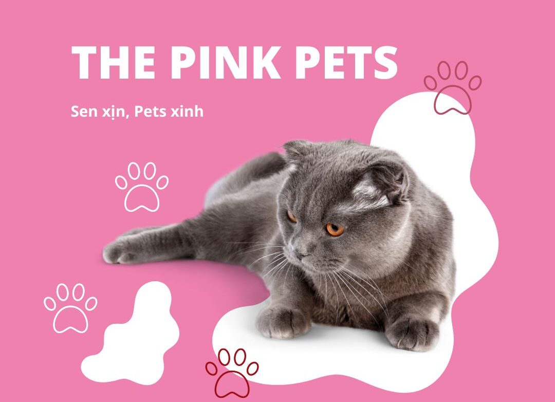 The Pink Pets - Sen xịn, Pets xinh